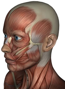 TMJ Pain After Whiplash